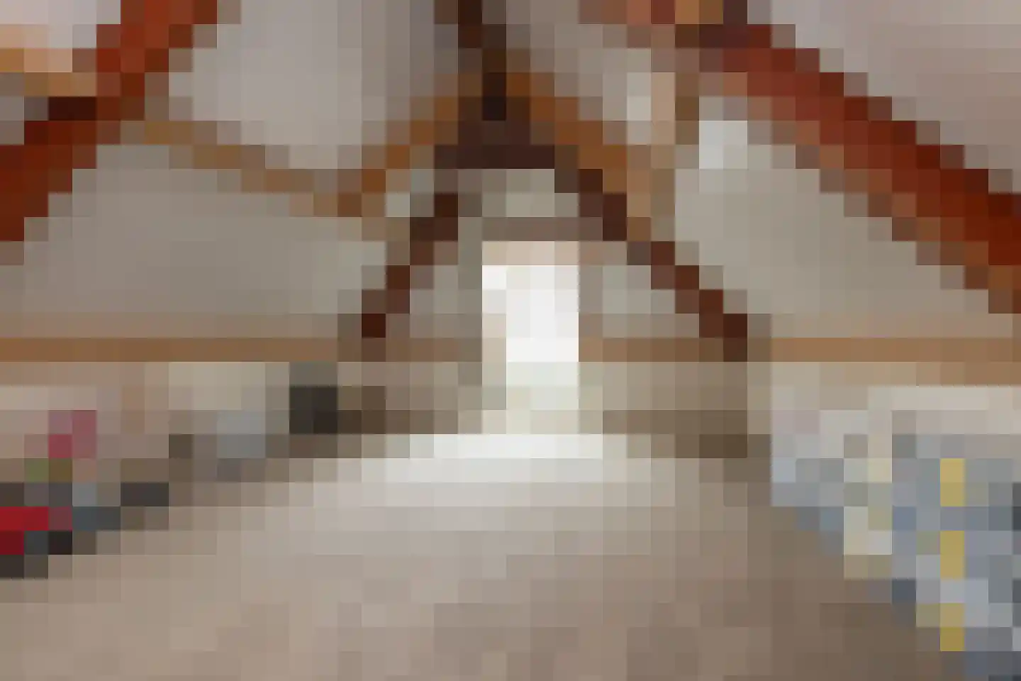 Edelhert 4 Hoogeveen thumbnail 56