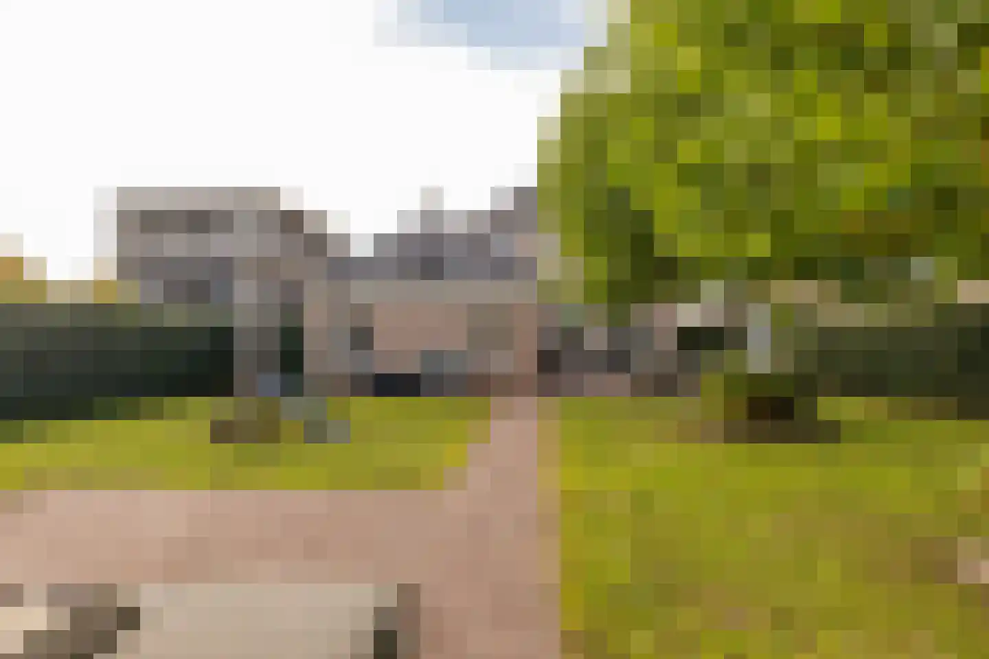 Edelhert 4 Hoogeveen thumbnail 62