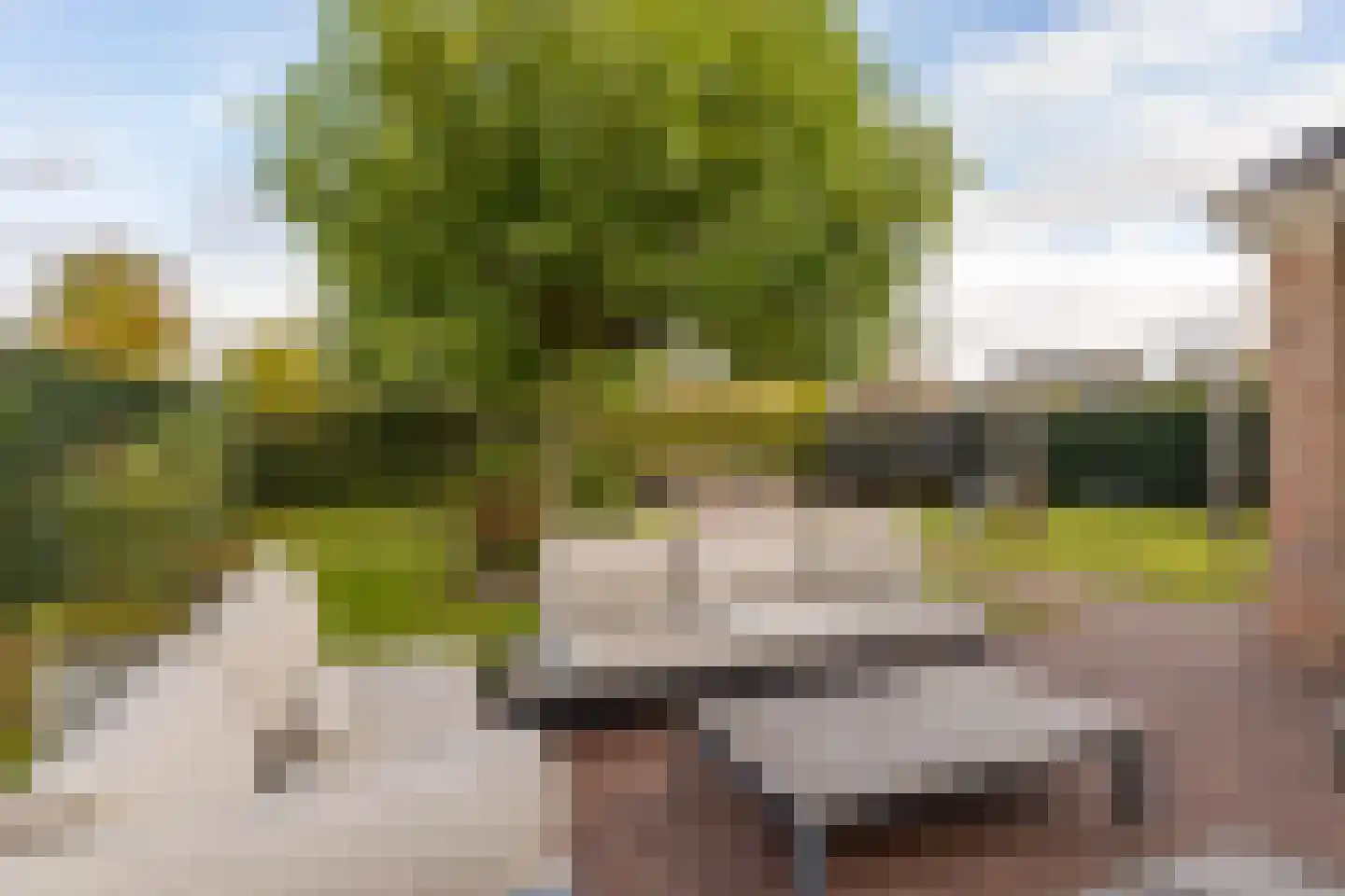 Edelhert 4 Hoogeveen thumbnail 65