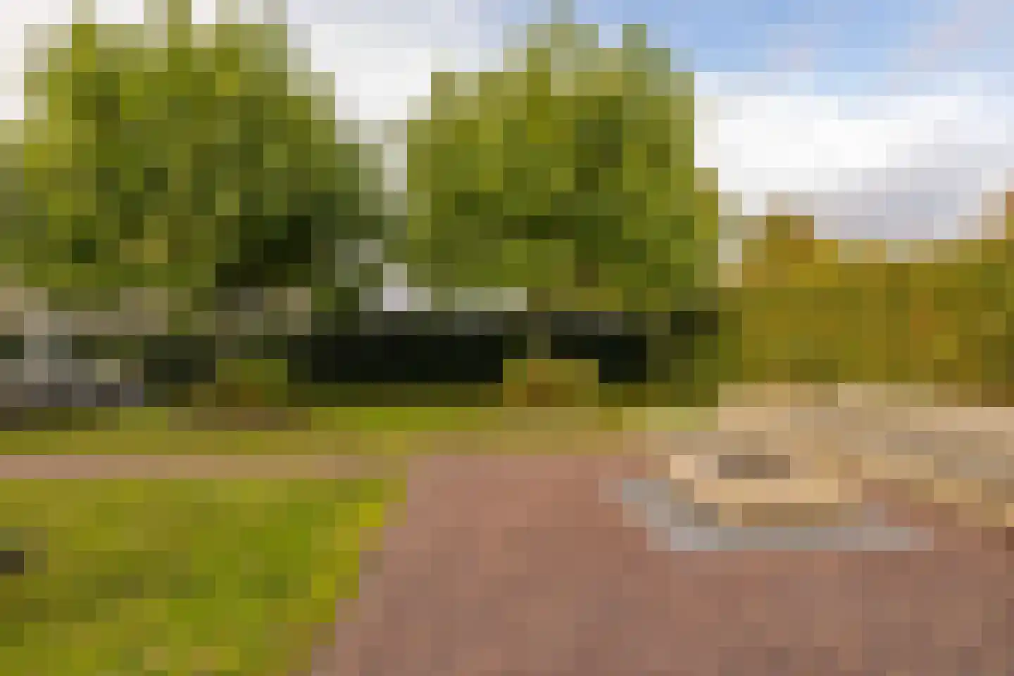 Edelhert 4 Hoogeveen thumbnail 67