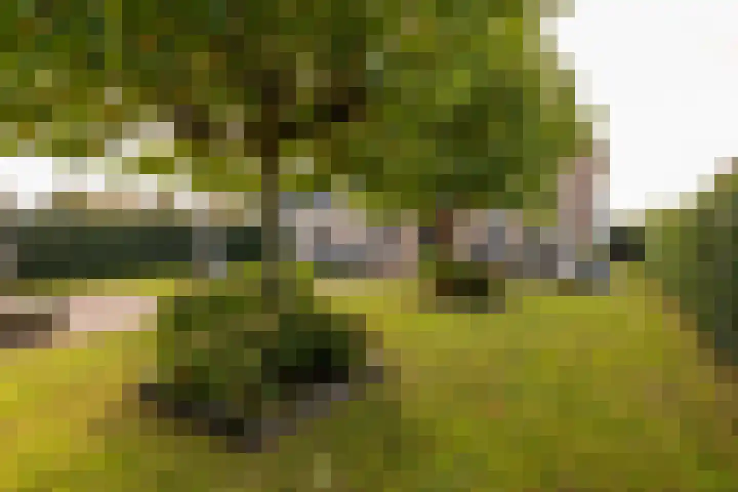 Edelhert 4 Hoogeveen thumbnail 68