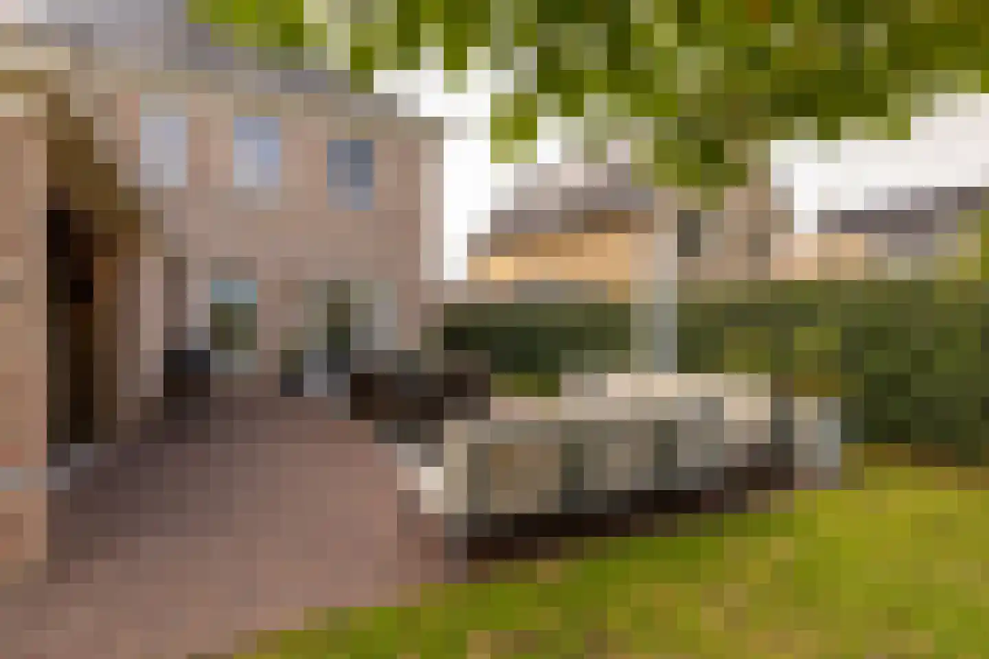 Edelhert 4 Hoogeveen thumbnail 69