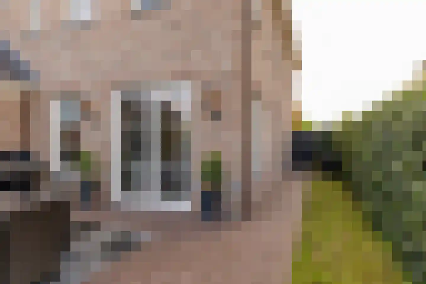 Edelhert 4 Hoogeveen thumbnail 70