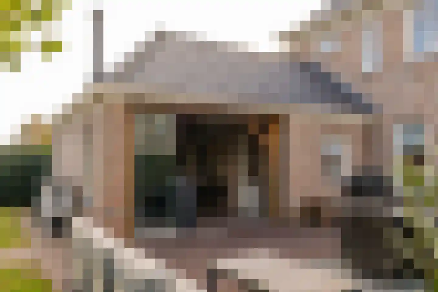 Edelhert 4 Hoogeveen thumbnail 71