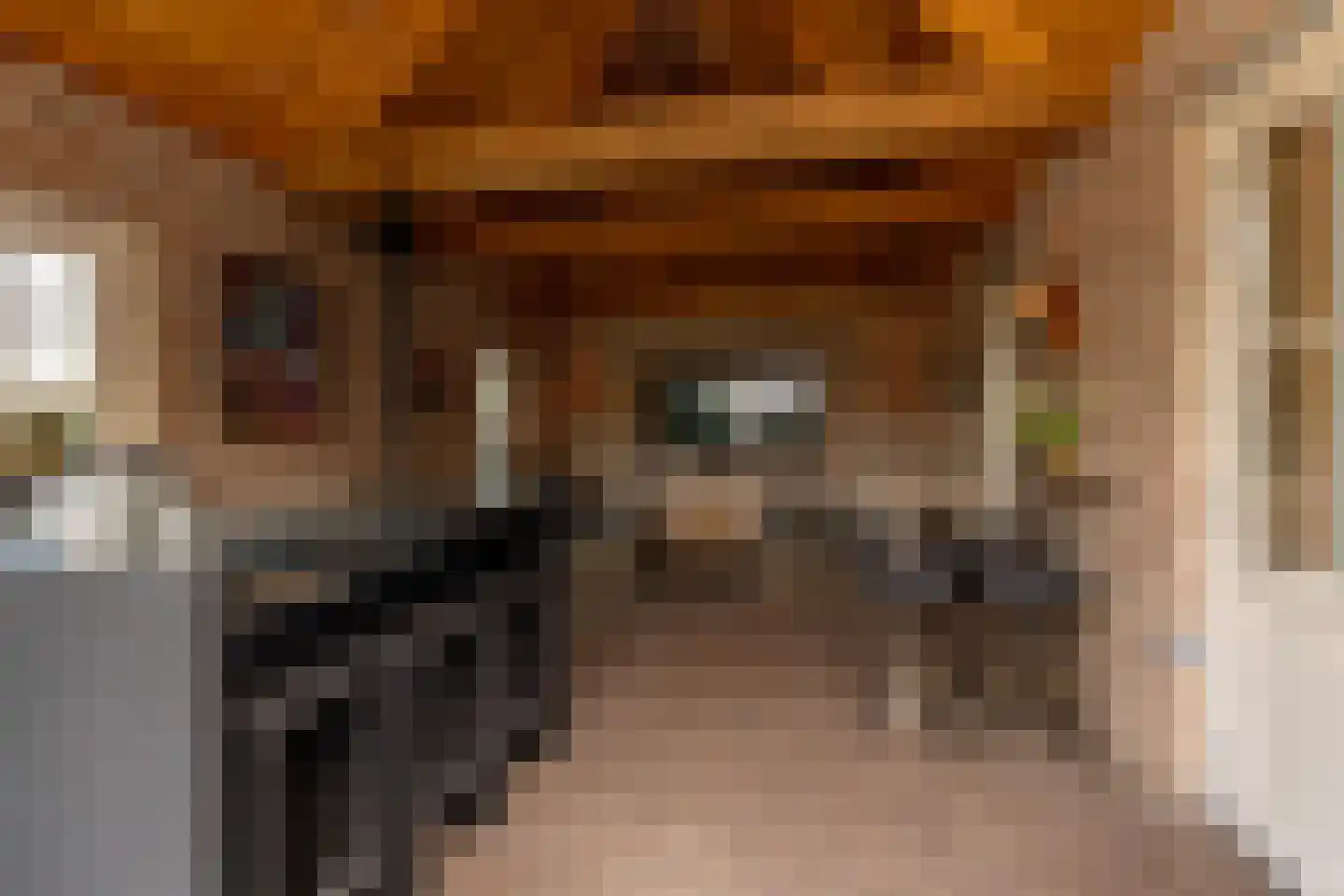 Edelhert 4 Hoogeveen thumbnail 73