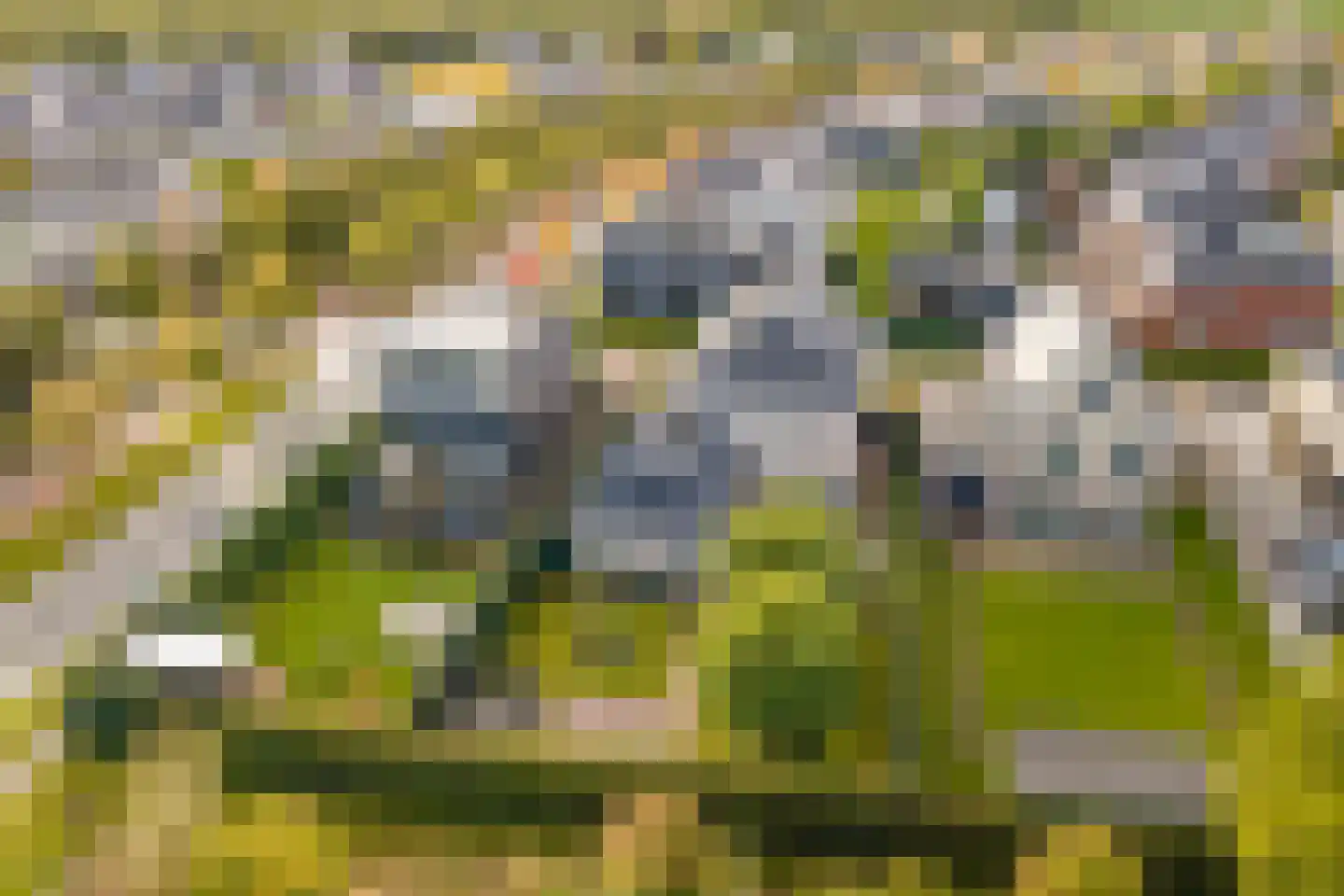 Edelhert 4 Hoogeveen thumbnail 8