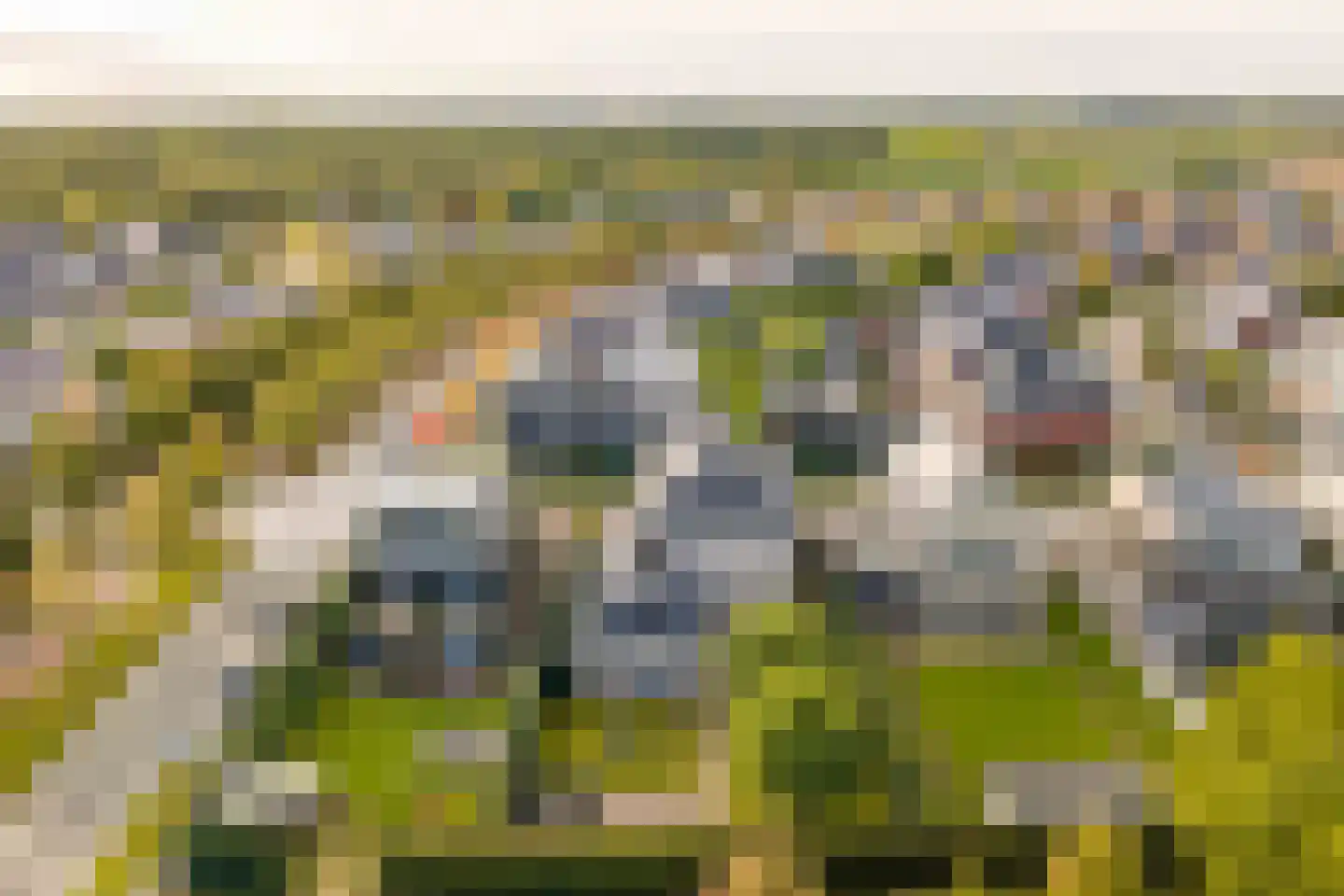 Edelhert 4 Hoogeveen thumbnail 83