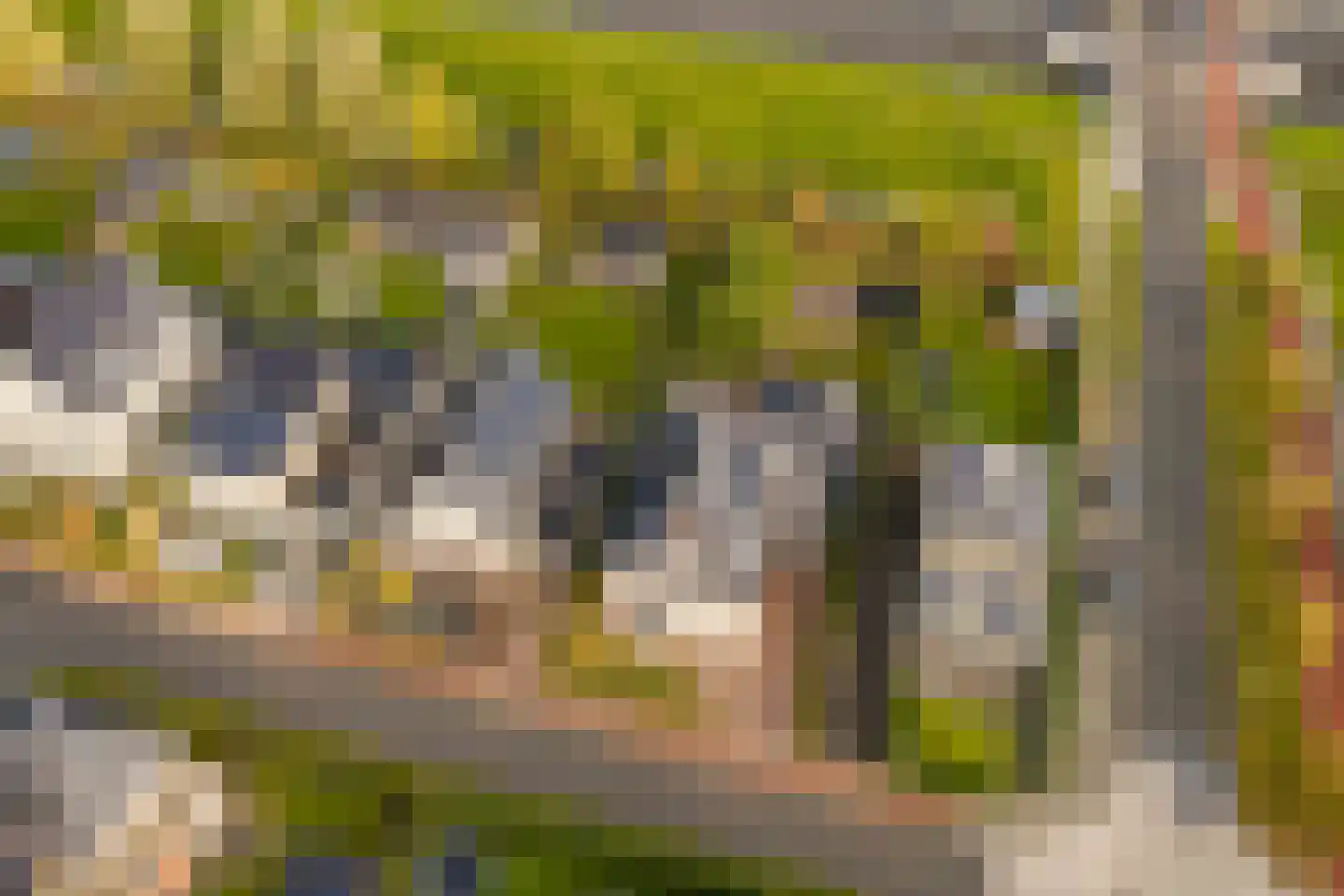 Edelhert 4 Hoogeveen thumbnail 84