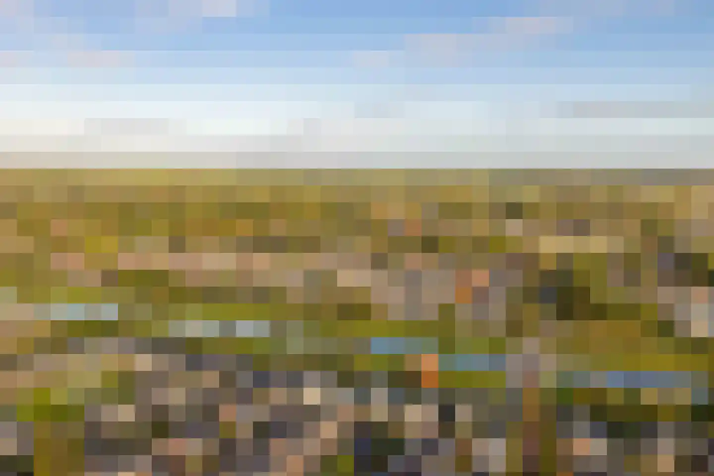 Edelhert 4 Hoogeveen thumbnail 85