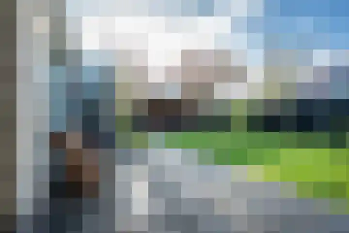 Edelhertakker 29 Houten thumbnail 13