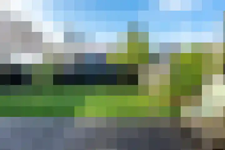 Edelhertakker 29 Houten thumbnail 14