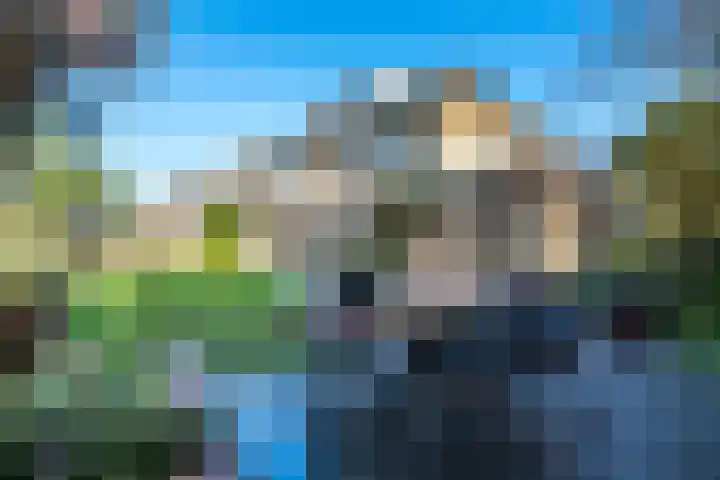 Edelhertakker 29 Houten thumbnail 16
