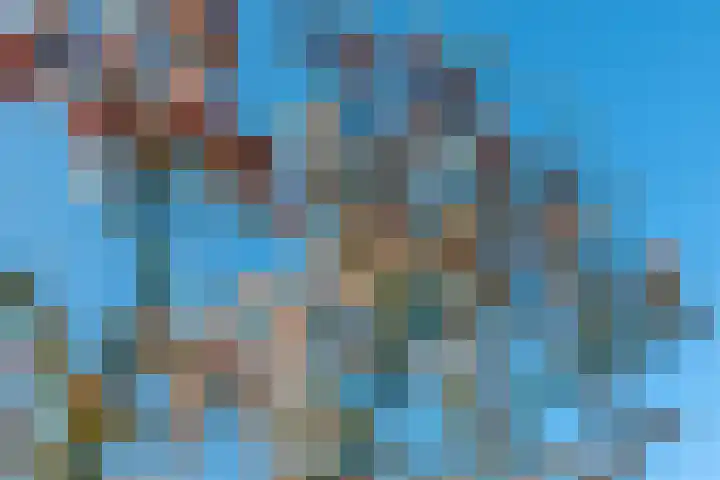 Edelhertakker 29 Houten thumbnail 17