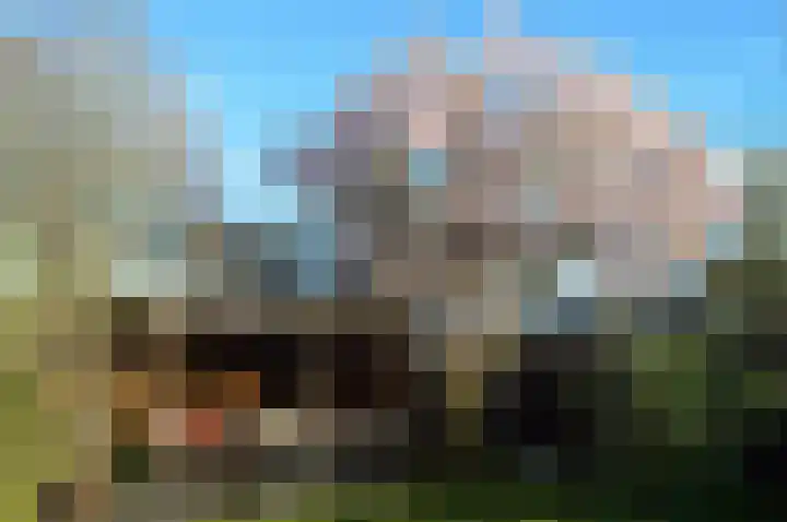Edelhertakker 29 Houten thumbnail 21