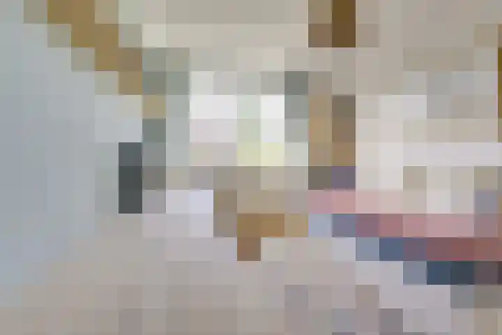 Edelhertakker 29 Houten thumbnail 28