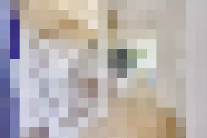 Edelhertakker 29 Houten thumbnail 4