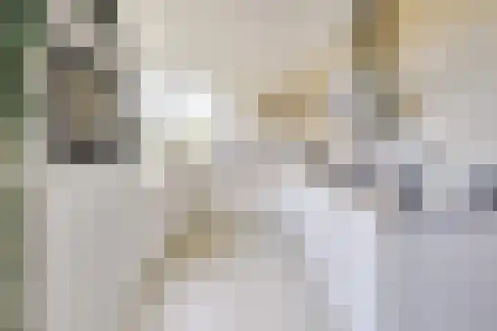 Edelhertakker 29 Houten thumbnail 6