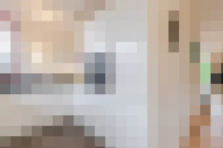 Edelhertakker 45 Houten thumbnail 15