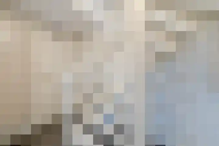 Edelhertakker 45 Houten thumbnail 23