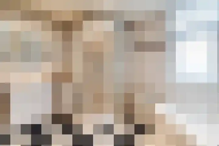 Edelhertakker 45 Houten thumbnail 41