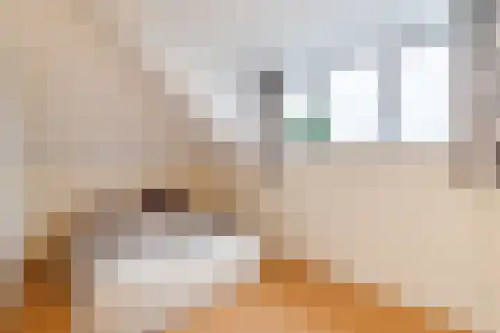 Edelhertakker 45 Houten thumbnail 50