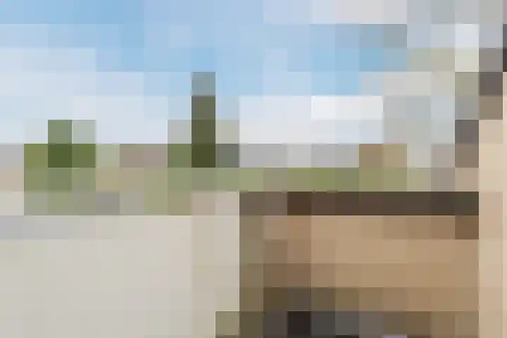 Edelhertakker 45 Houten thumbnail 52