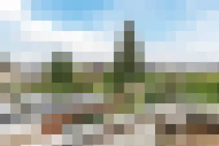 Edelhertakker 45 Houten thumbnail 53