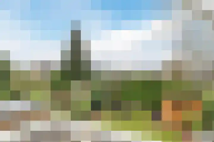 Edelhertakker 45 Houten thumbnail 54