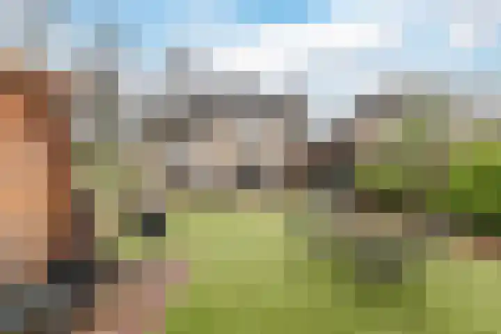 Edelhertakker 45 Houten thumbnail 59