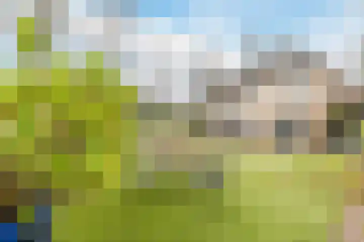 Edelhertakker 45 Houten thumbnail 61