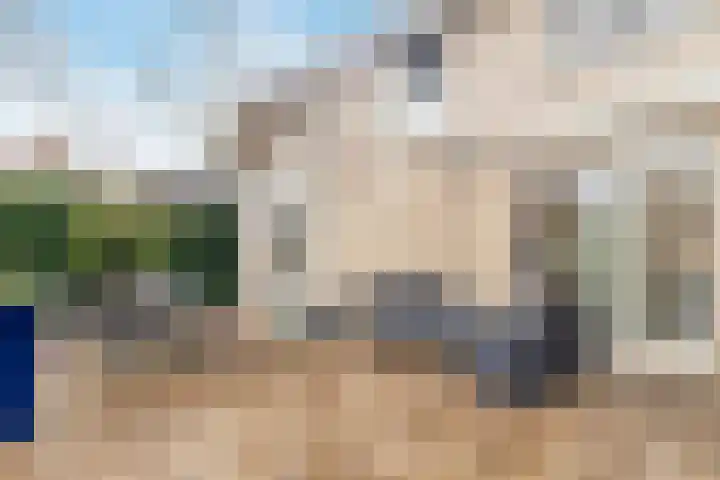 Edelhertakker 45 Houten thumbnail 66