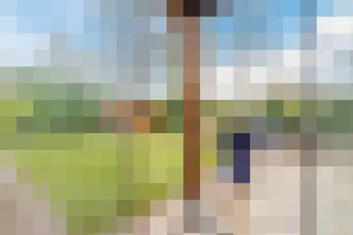 Edelhertakker 45 Houten thumbnail 68