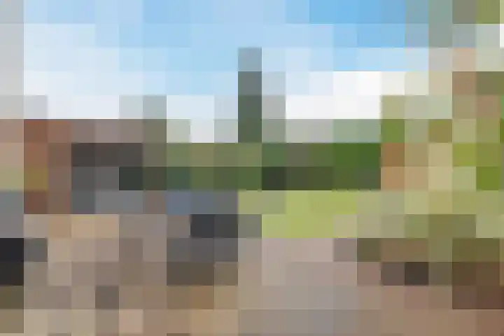 Edelhertakker 45 Houten thumbnail 69