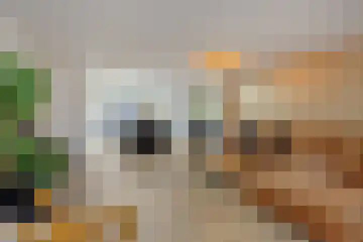 Edelhertlaan 11 Helmond thumbnail 13