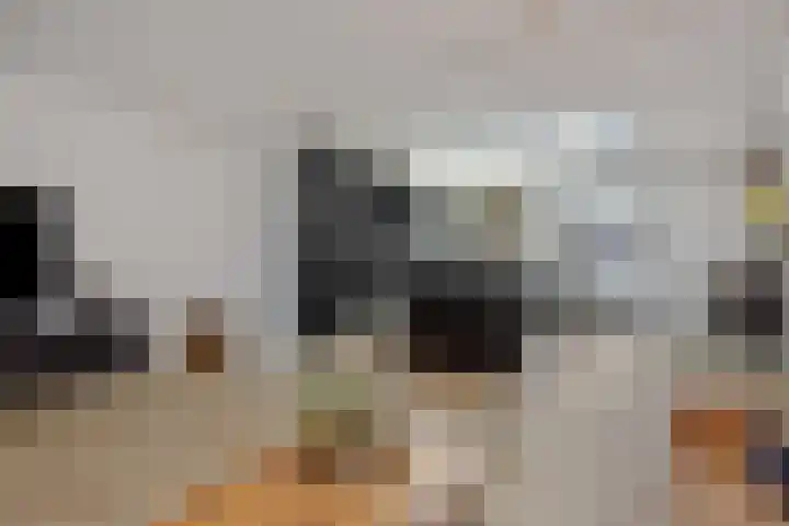 Edelhertlaan 11 Helmond thumbnail 15