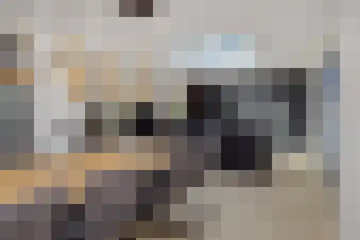 Edelhertlaan 11 Helmond thumbnail 21