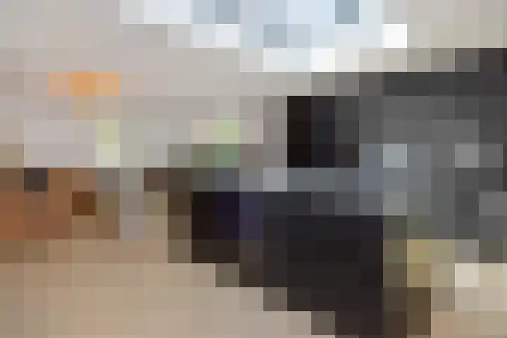 Edelhertlaan 11 Helmond thumbnail 22