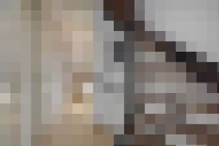 Edelhertlaan 11 Helmond thumbnail 31
