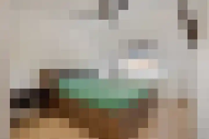 Edelhertlaan 11 Helmond thumbnail 33