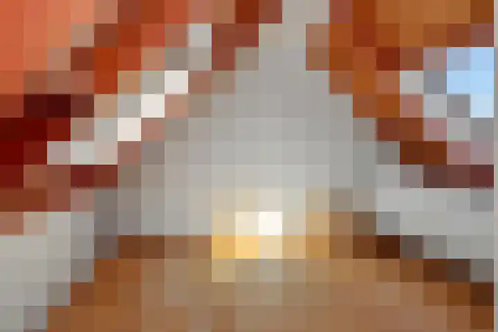 Edelhertlaan 11 Helmond thumbnail 37