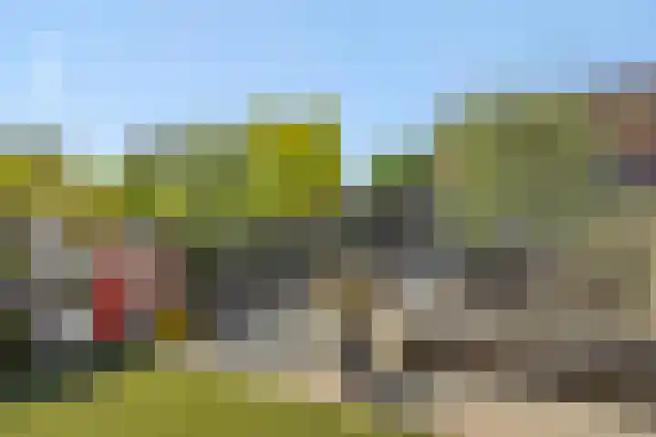 Edelhertlaan 11 Helmond thumbnail 43