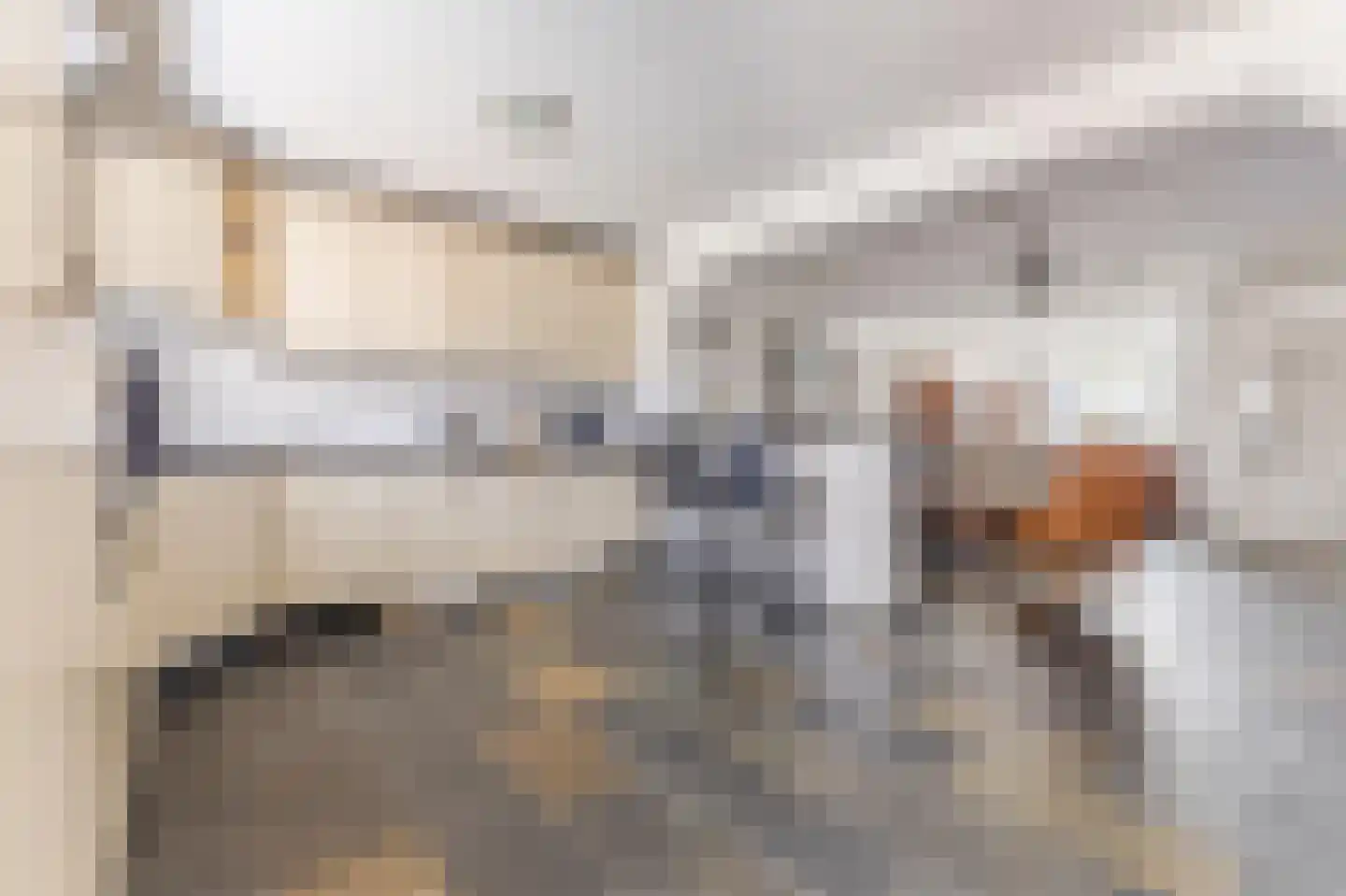 Edelhertlaan 25 Helmond thumbnail 7