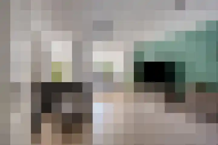 Edelhertlaan 27 Helmond thumbnail 13