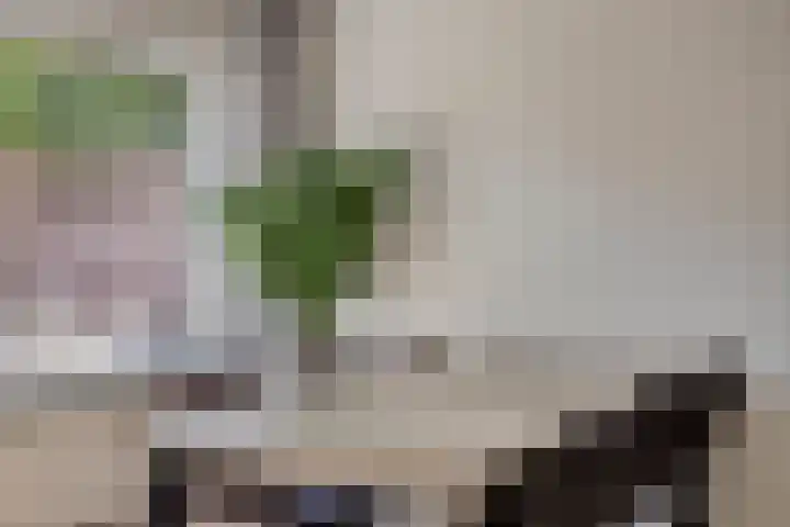 Edelhertlaan 27 Helmond thumbnail 17