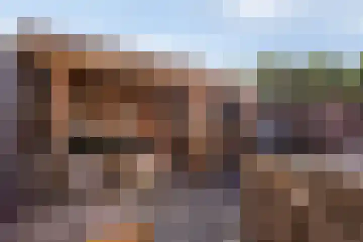 Edelhertlaan 27 Helmond thumbnail 38