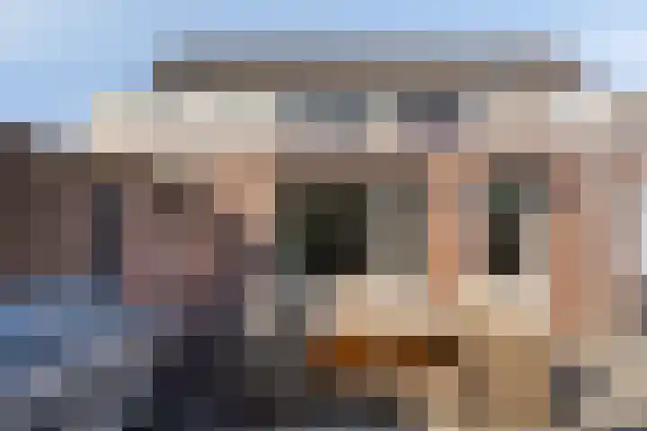 Edelhertlaan 27 Helmond thumbnail 41