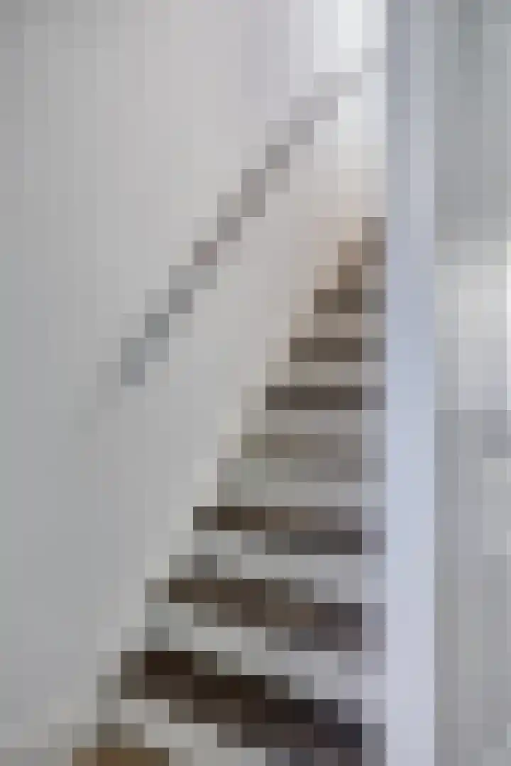Edelhertlaan 27 Helmond thumbnail 9