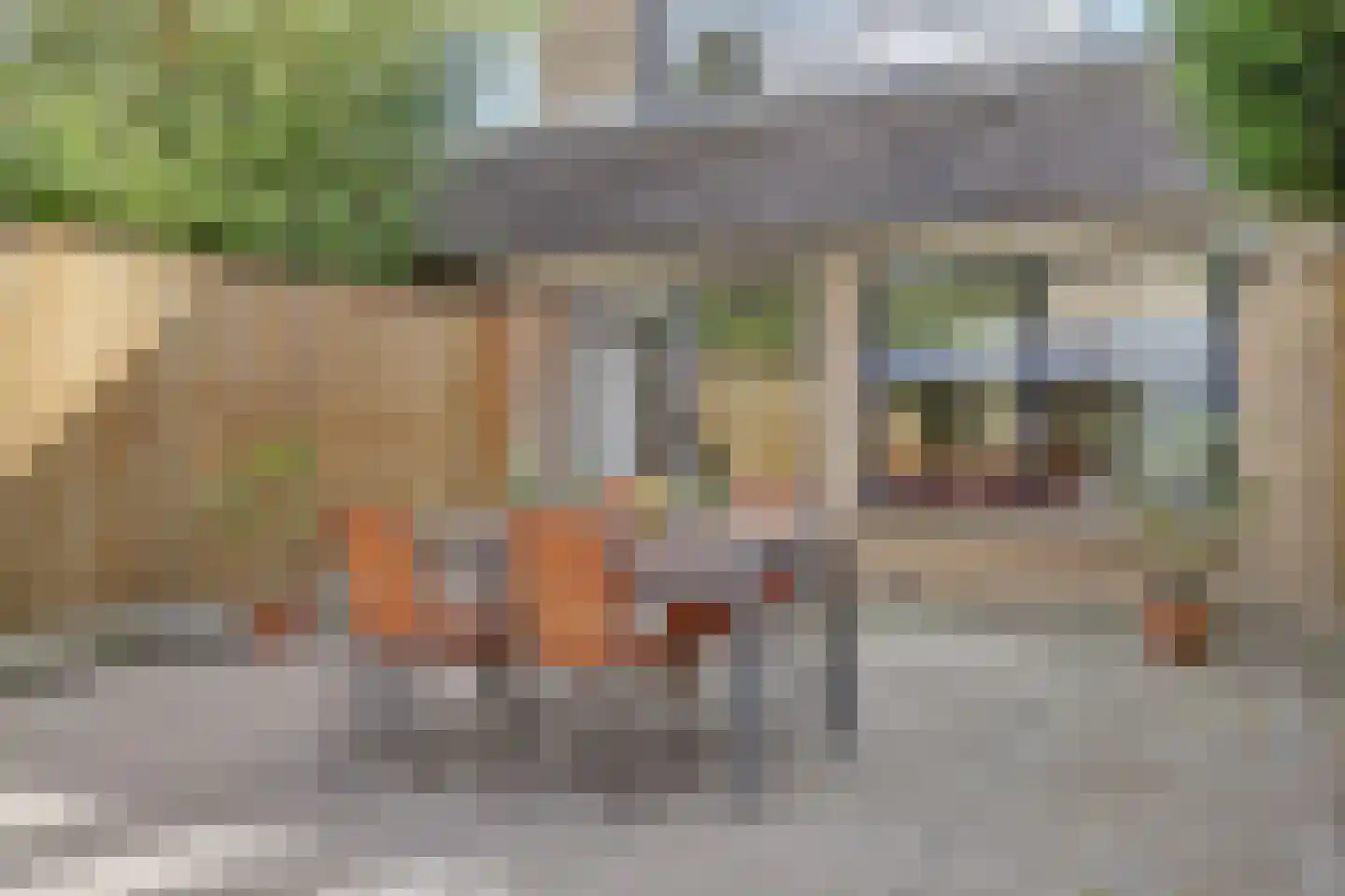 Edelhertlaan 32 Delft thumbnail 19