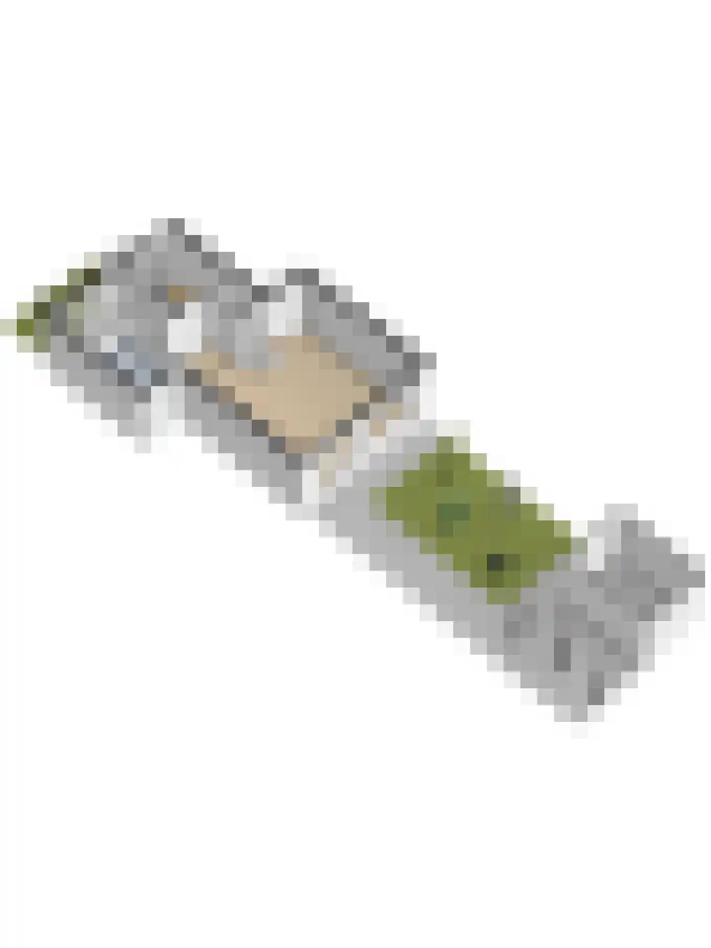 Edelhertlaan 32 Delft thumbnail 48