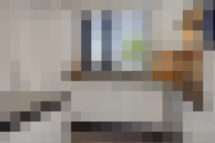 Edelhertlaan 33 Helmond thumbnail 14